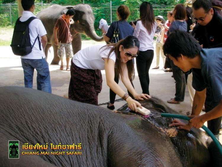 Chiang Mai Night Safari