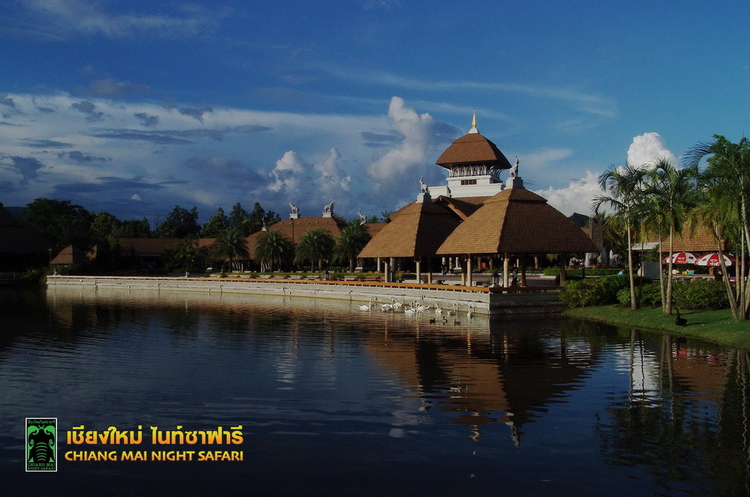 Chiang Mai Night Safari