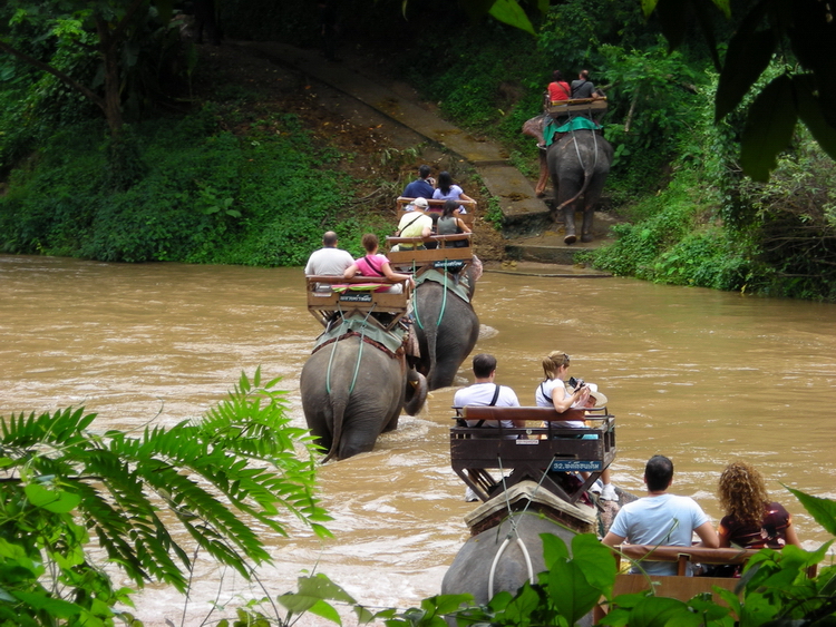 Mae Sa Elephant Camp