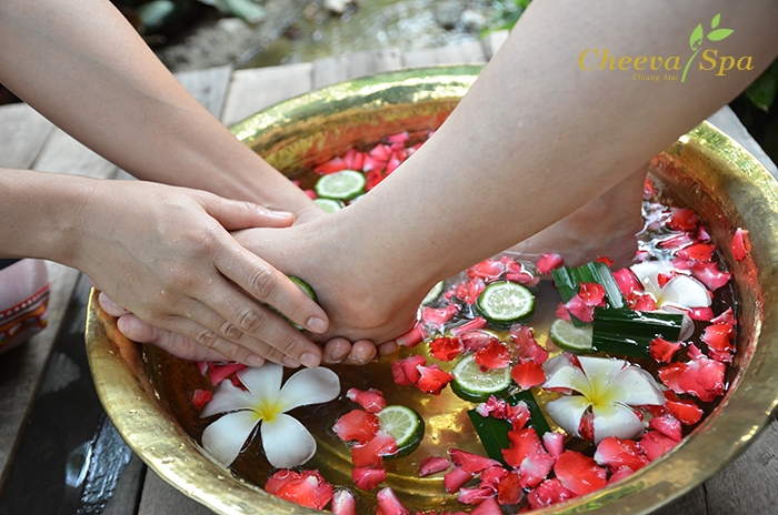 Cheeva Spa Chiang Mai Relax for a Longer Life