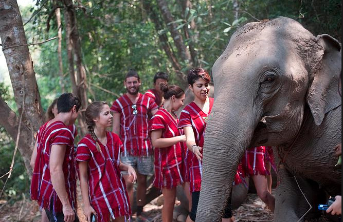 Elephant Caretaker Village, The giant on our hands.